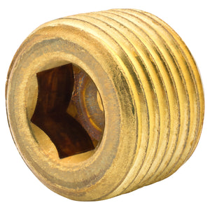 Hex Plug, Br, 5/16" (3/8 NPTM), Bag of 1